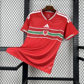 Mens Wales 2026 World Cup Home Jersey
