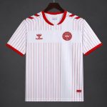 Denmark 2026 Away Mens Jersey