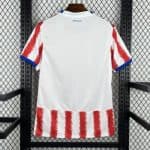 Paraguay 2026 Home Mens Jersey Fan version - Image 2